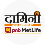 Damini Logo